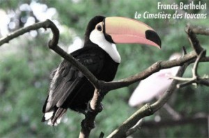 Lire la suite à propos de l’article Le Cimetière des toucans – Francis Berthelot