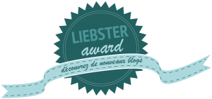 Lire la suite à propos de l’article Tag : Liebster Awards 2017